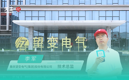 爱游戏·ayx-官网登录入口x望变电气